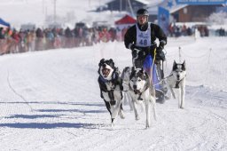 Lenk 2013